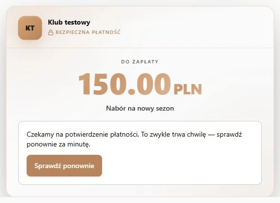 Oczekiwanie w rzeczywistym osadzonym formularzu — kontrolowana odpowiedź lokalnego SDK, bez pól karty i bez wykonania transakcji